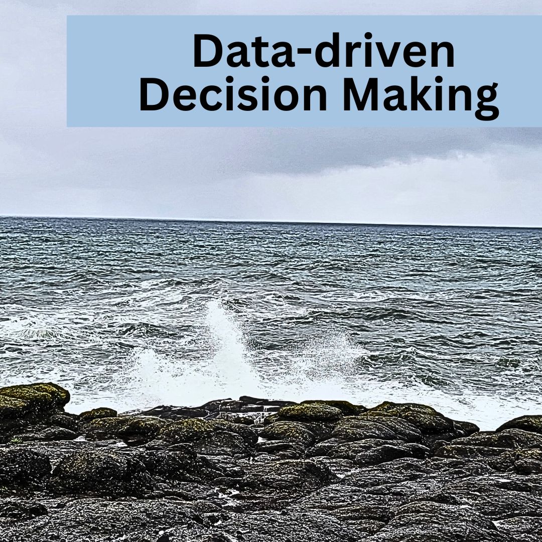 Data-driven Decision Making - How to Drive Smart Business Decisions