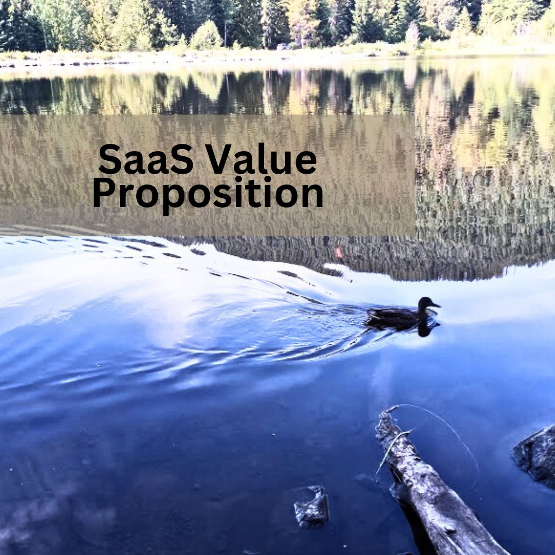 SaaS Value Proposition