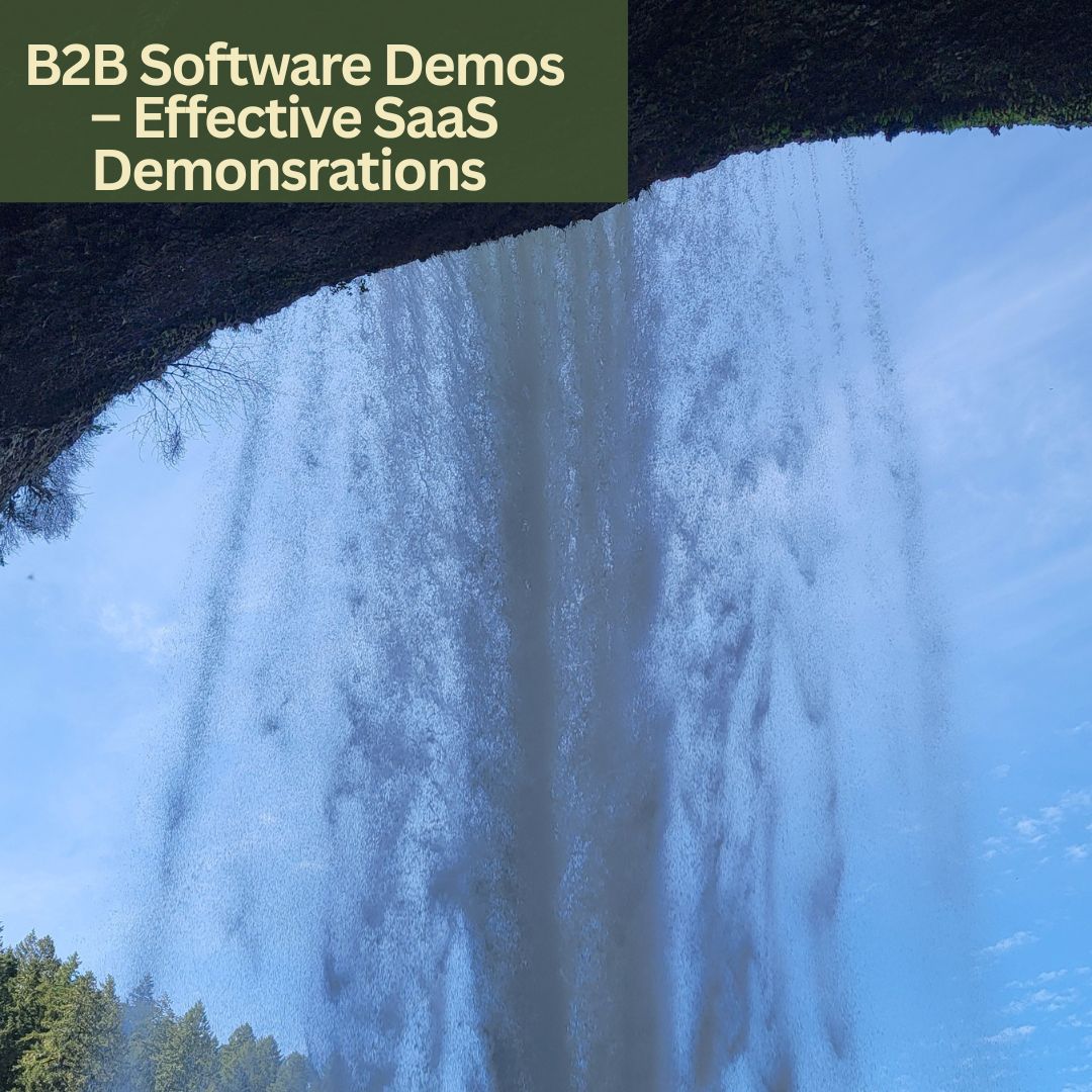 B2B Software Demos – Effective SaaS Demonsrations