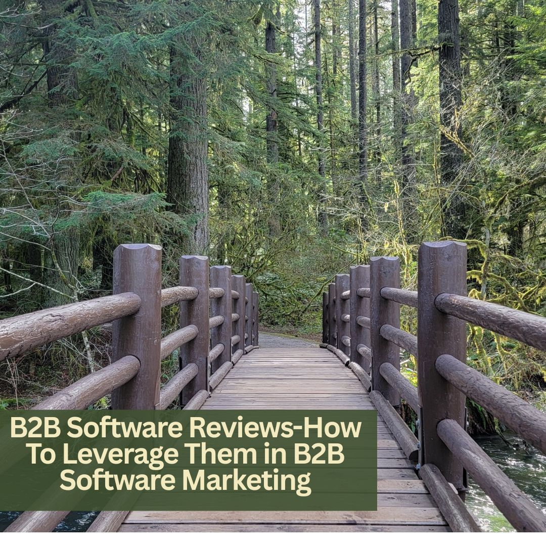 B2B Software Reviews-How To Leverage Them in B2B Software Marketing
