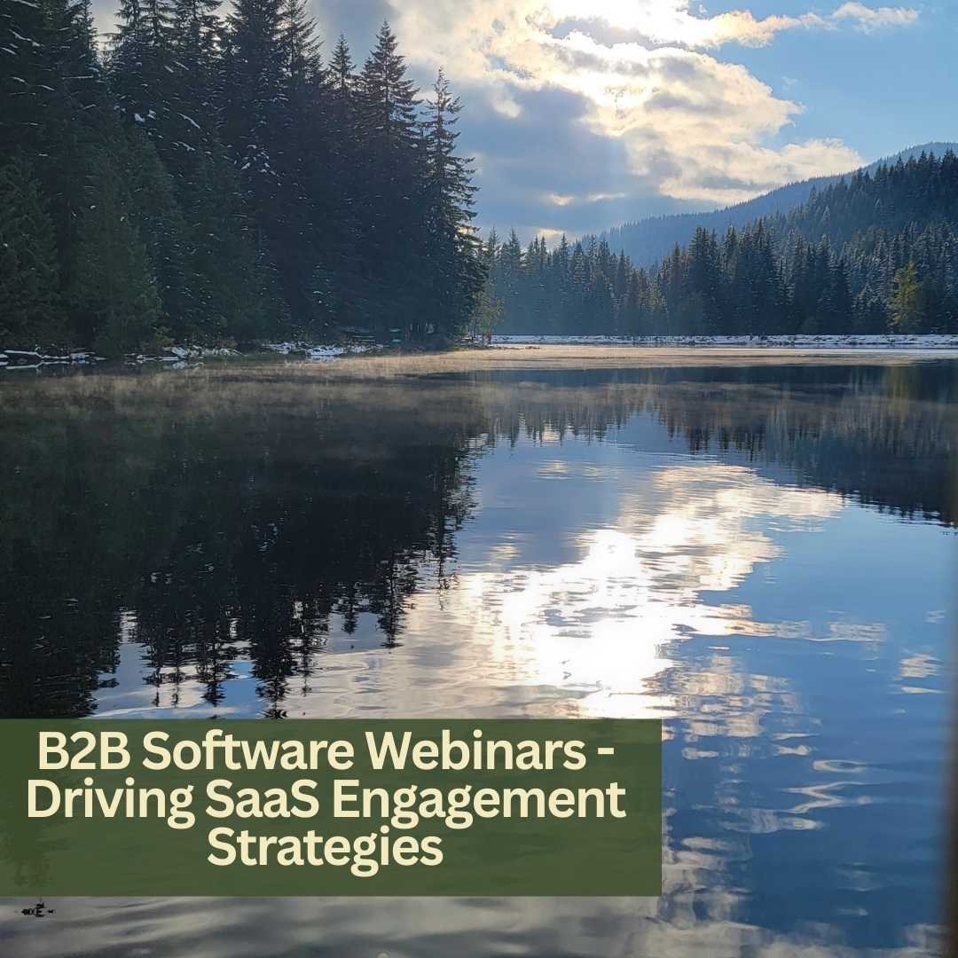 B2B Software Webinars - Driving SaaS Engagement Strategies