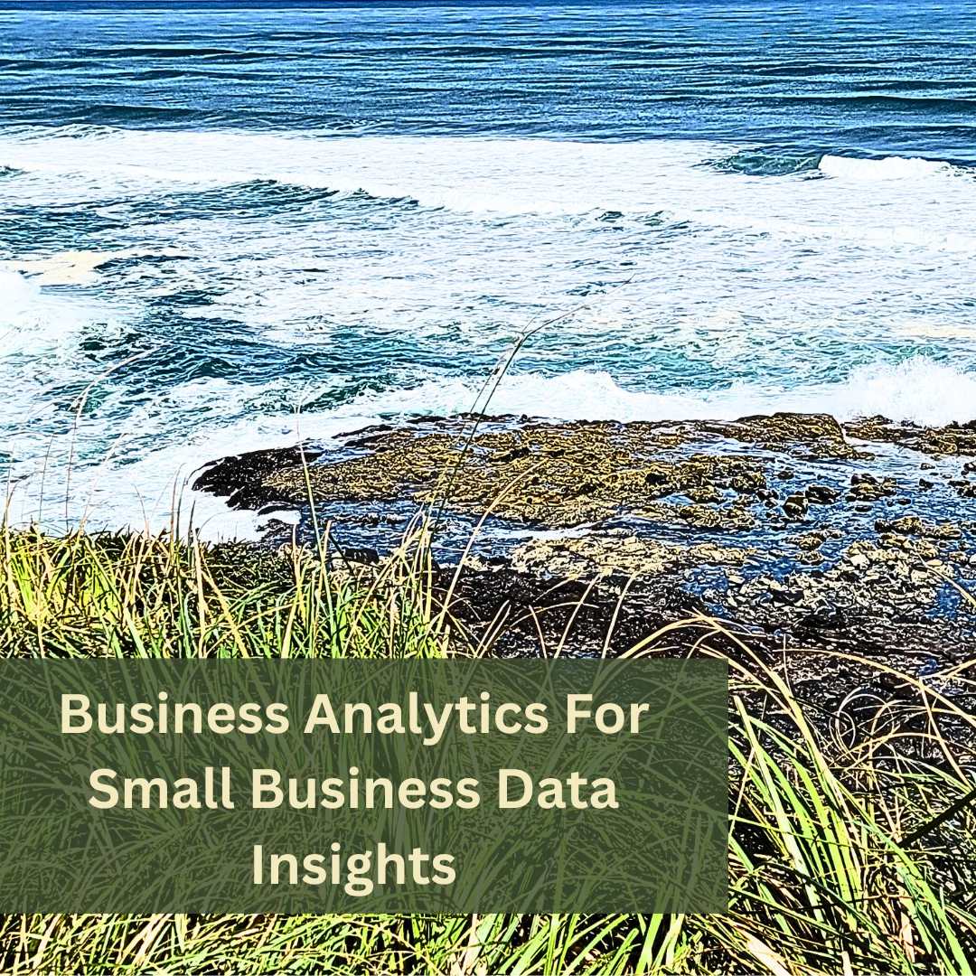 Business Analytics For Small Business Data Insights (1)