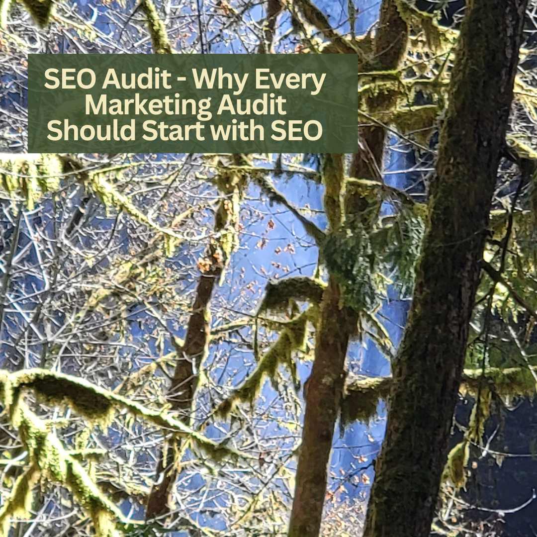 SEO Audit - Why Every Marketing Audit Should Start with SEO