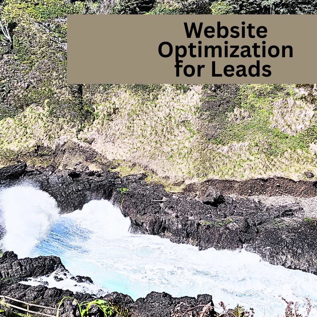 Website Optimization for Leads – Discover Conversion Rate Strategies